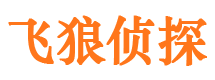 集宁外遇取证